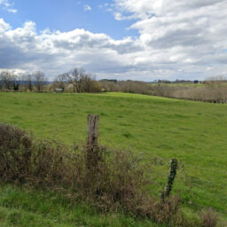 terrain-constructeur-de-maisons-individuelles-perigord-dordogne-lot-correze-gironde-maisons-aliénor-terrain