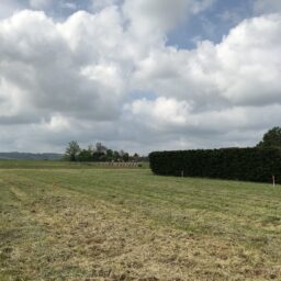 terrain-constructeur-de-maisons-individuelles-perigord-dordogne-lot-correze-gironde-maisons-aliénor-terrain