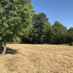 terrain-constructeur-de-maisons-individuelles-perigord-dordogne-lot-correze-gironde-maisons-aliénor-terrain