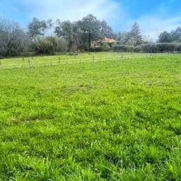 Terrain à Proissans de 1120 m² situé dans un lotissement