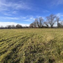 terrain-constructeur-de-maisons-individuelles-perigord-dordogne-lot-correze-gironde-maisons-aliénor-terrain